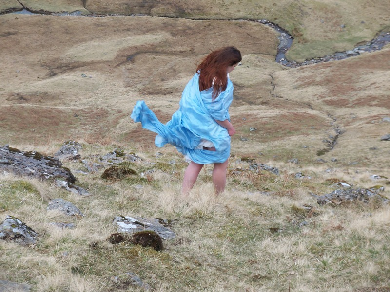 Wild Horses, 2010