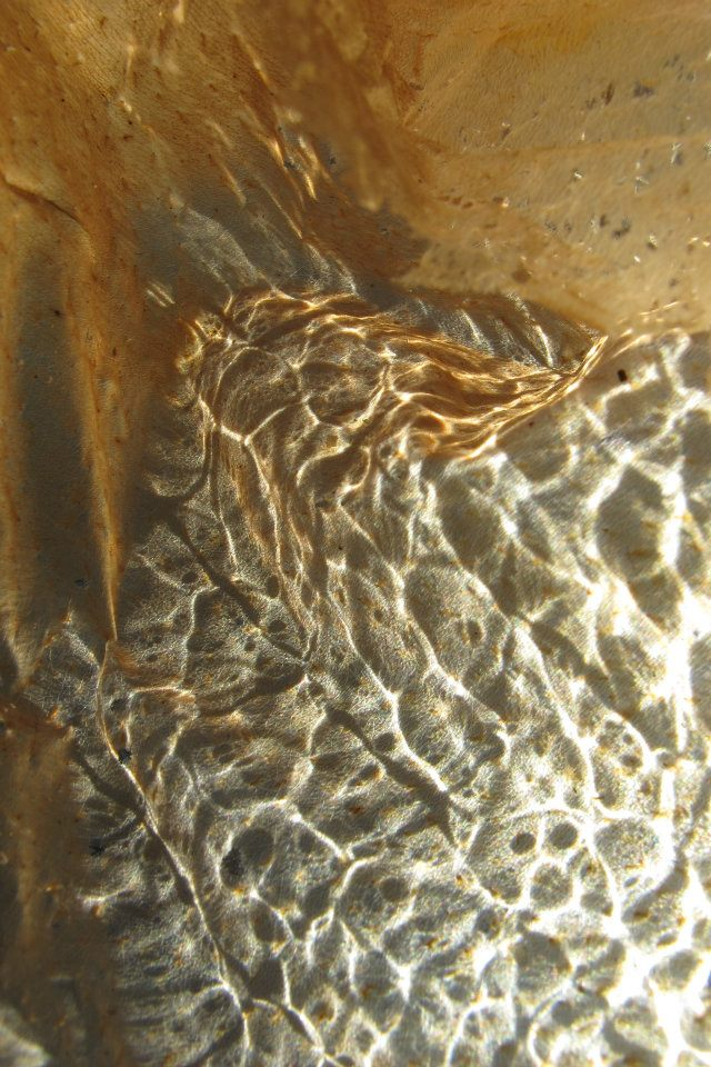 Light Echoes (1)
