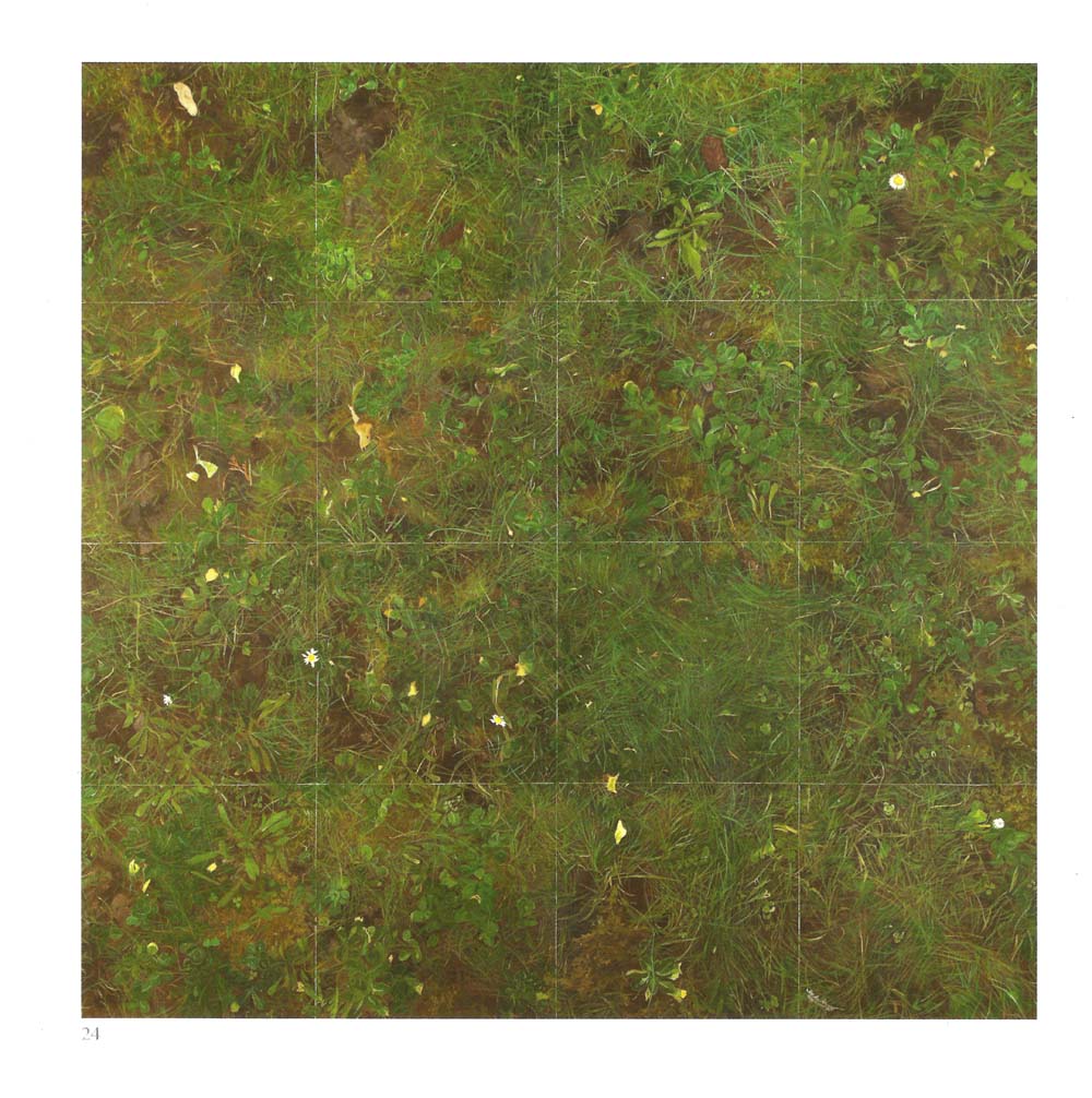 Our Land. Sample square of Common Land Grass - Jill Eastland