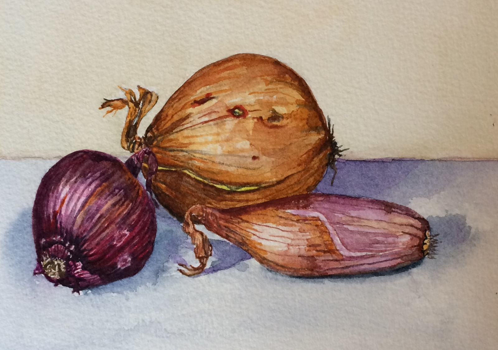 Onions and shallot -sold