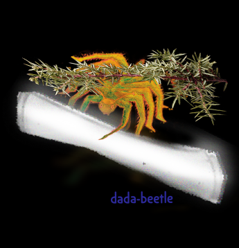 Da-da Beetle